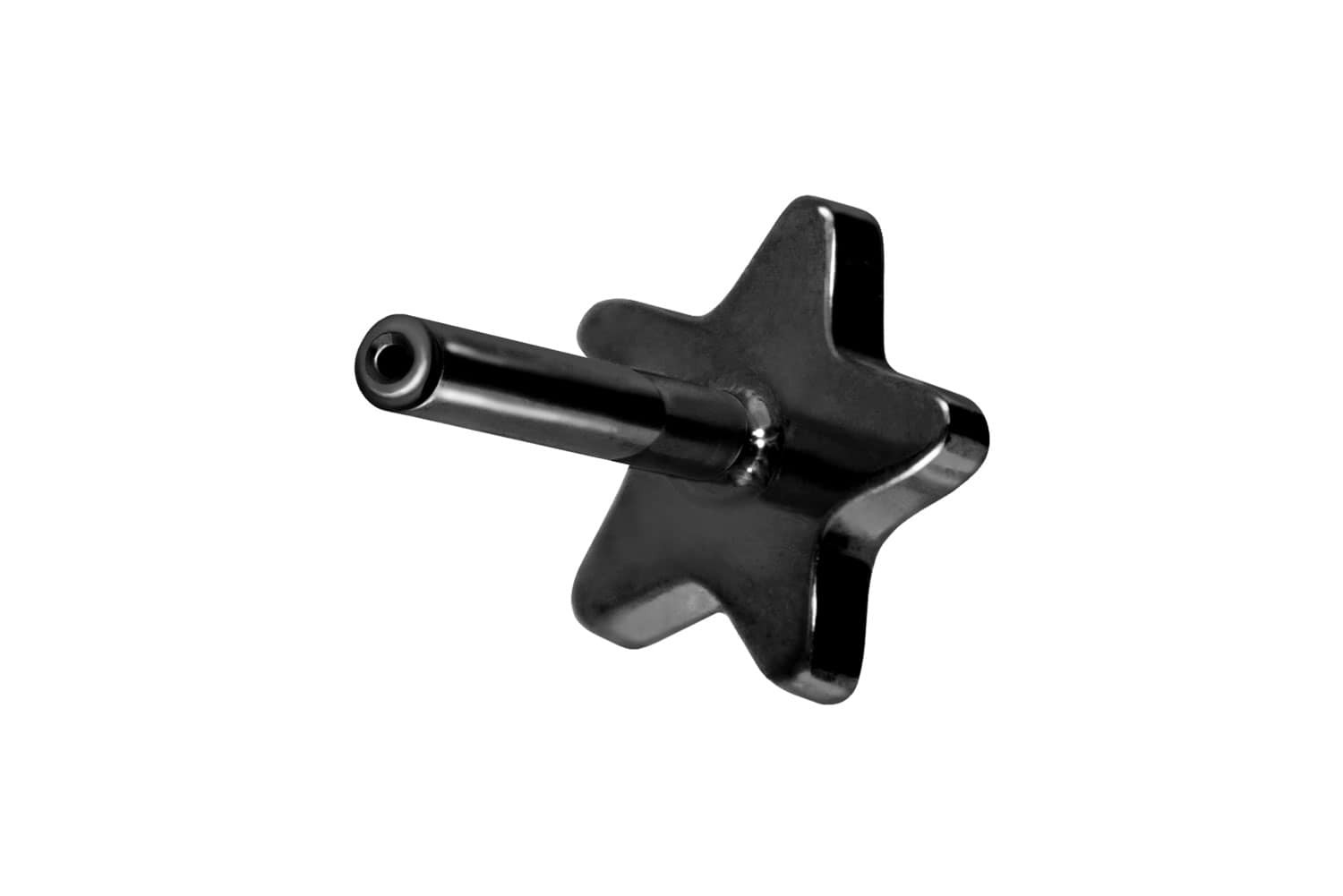 Titan Labret Piercing mit Push Fit ohne Kugel STERN